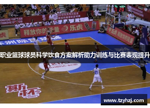 职业篮球球员科学饮食方案解析助力训练与比赛表现提升