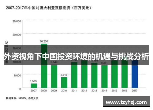 外资视角下中国投资环境的机遇与挑战分析