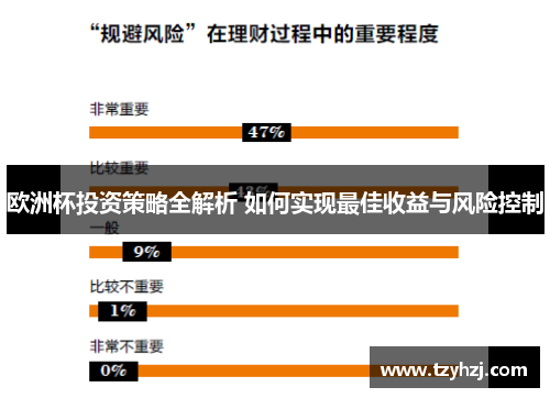 欧洲杯投资策略全解析 如何实现最佳收益与风险控制