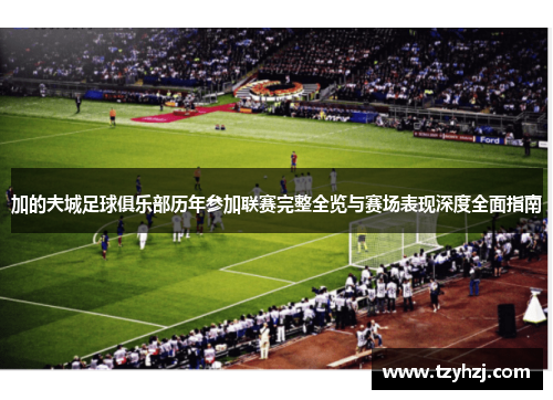 加的夫城足球俱乐部历年参加联赛完整全览与赛场表现深度全面指南