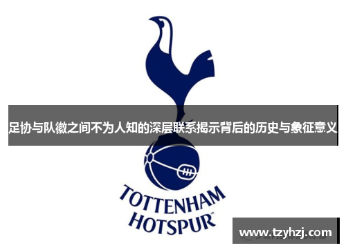 足协与队徽之间不为人知的深层联系揭示背后的历史与象征意义 足协与队徽之间不为人知的深层联系揭示背后的历史与象征意义