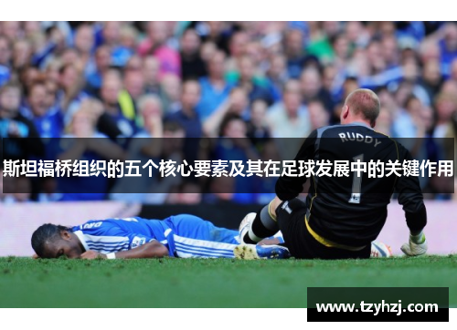 斯坦福桥组织的五个核心要素及其在足球发展中的关键作用 斯坦福桥组织的五个核心要素及其在足球发展中的关键作用